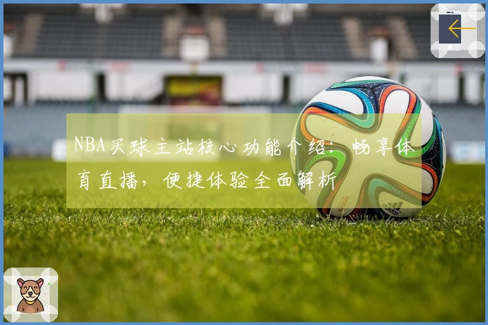 NBA买球主站核心功能介绍:畅享体育直播,便捷体验全面解析