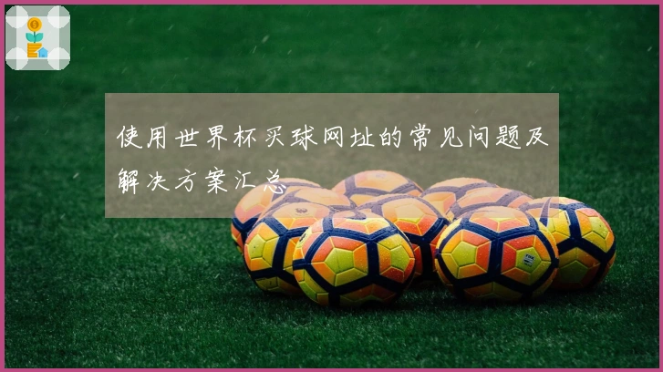 使用世界杯买球网址的常见问题及解决方案汇总