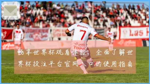 畅享世界杯观看体验：全面了解世界杯投注平台官网入口的使用指南与功能介绍