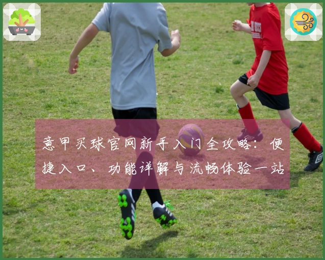 意甲买球官网新手入门全攻略：便捷入口、功能详解与流畅体验一站式指南