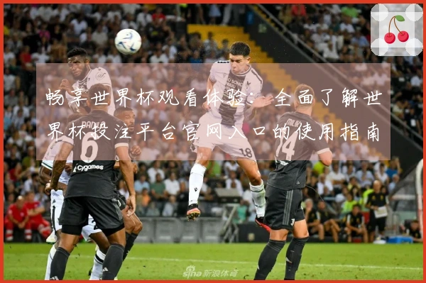 畅享世界杯观看体验:全面了解世界杯投注平台官网入口的使用指南与功能介绍