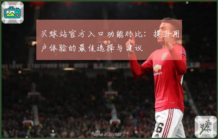 买球站官方入口功能对比：提升用户体验的最佳选择与建议