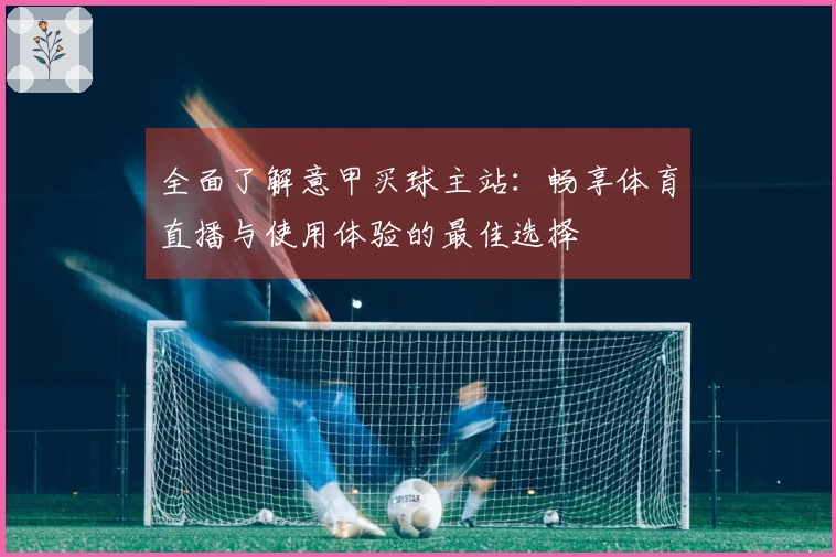 全面了解意甲买球主站：畅享体育直播与使用体验的最佳选择