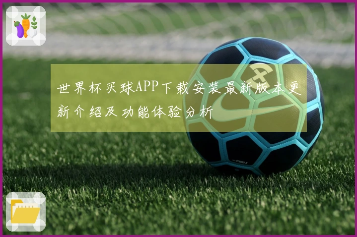 世界杯买球APP下载安装最新版本更新介绍及功能体验分析