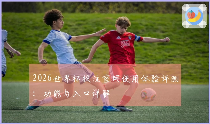 2026世界杯投注官网使用体验评测：功能与入口详解