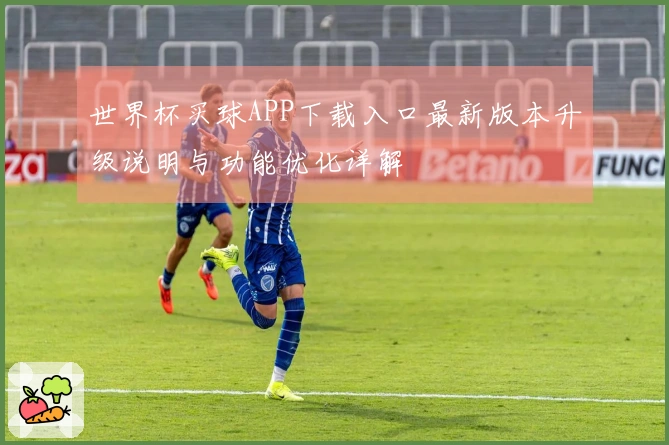 世界杯买球APP下载入口最新版本升级说明与功能优化详解