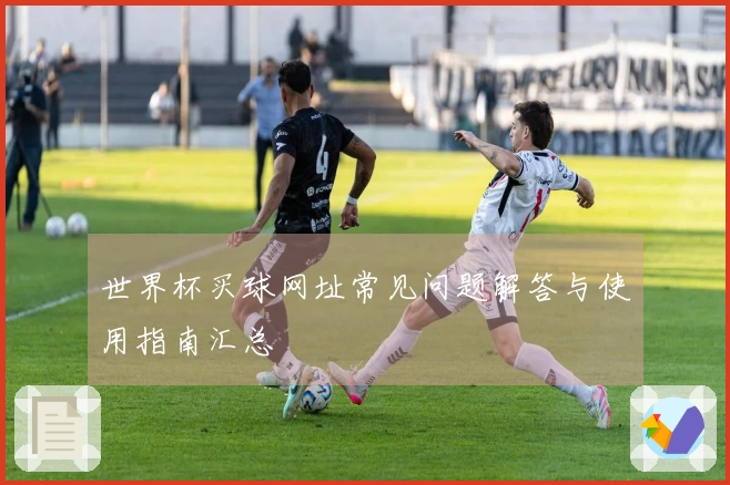 世界杯买球网址常见问题解答与使用指南汇总