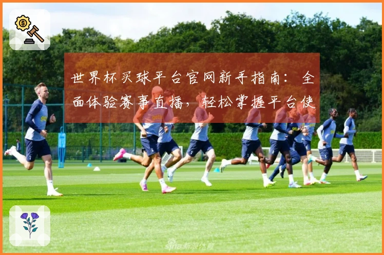 世界杯买球平台官网新手指南：全面体验赛事直播，轻松掌握平台使用技巧