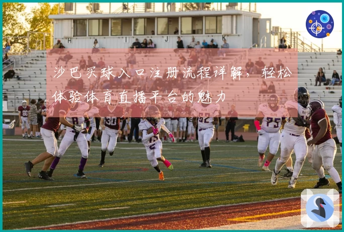 沙巴买球入口注册流程详解，轻松体验体育直播平台的魅力