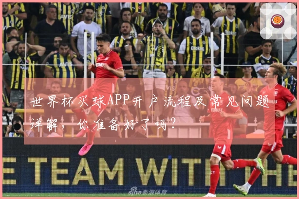 世界杯买球APP开户流程及常见问题详解,你准备好了吗?